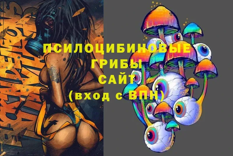 Псилоцибиновые грибы Magic Shrooms  сколько стоит  Каменка 